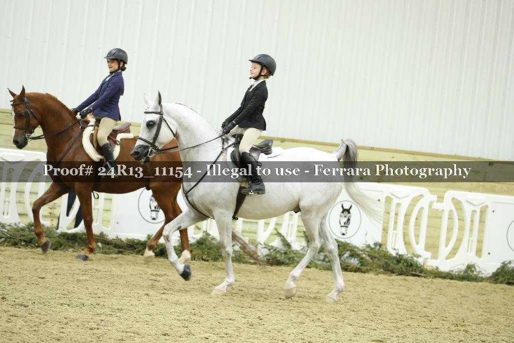 Proof 24R13_11154