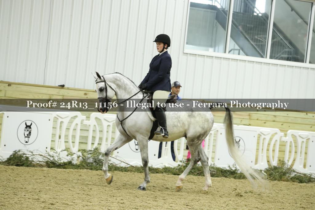 Proof 24R13_11156