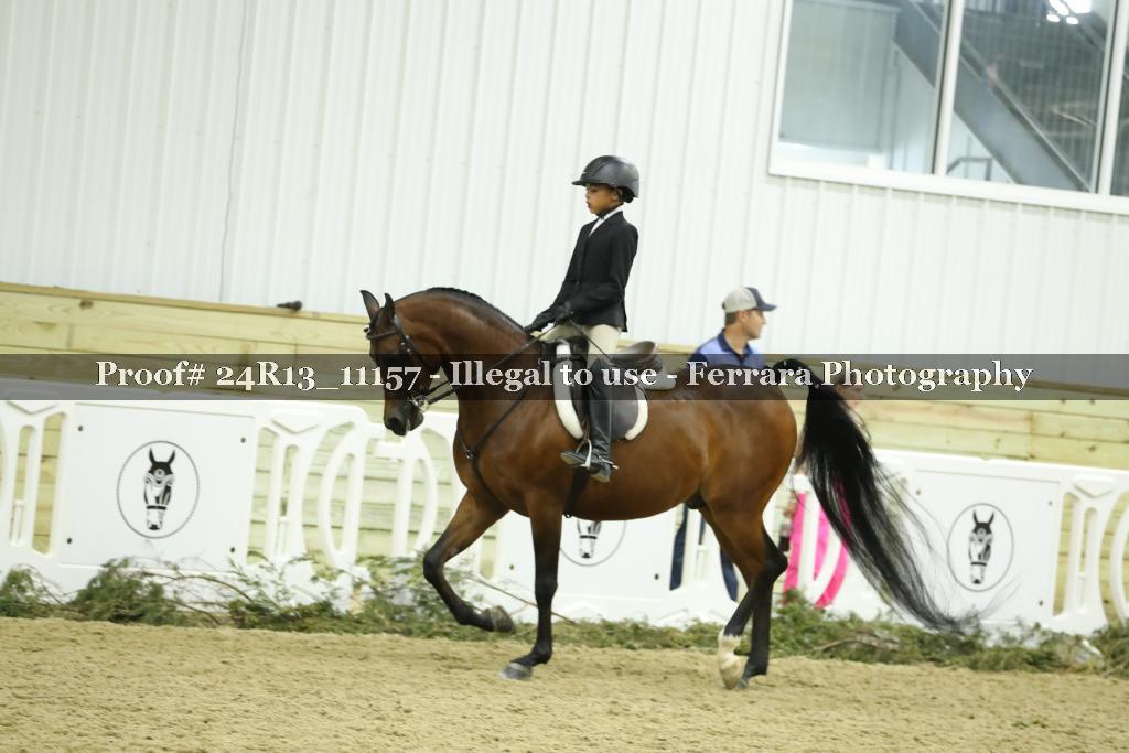 Proof 24R13_11157