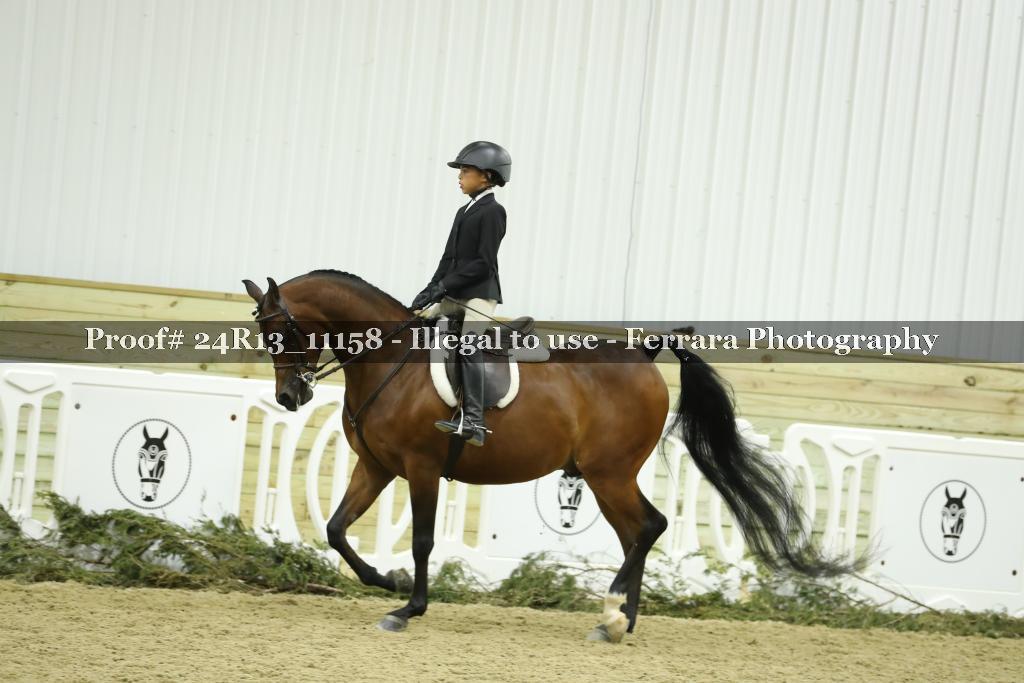 Proof 24R13_11158