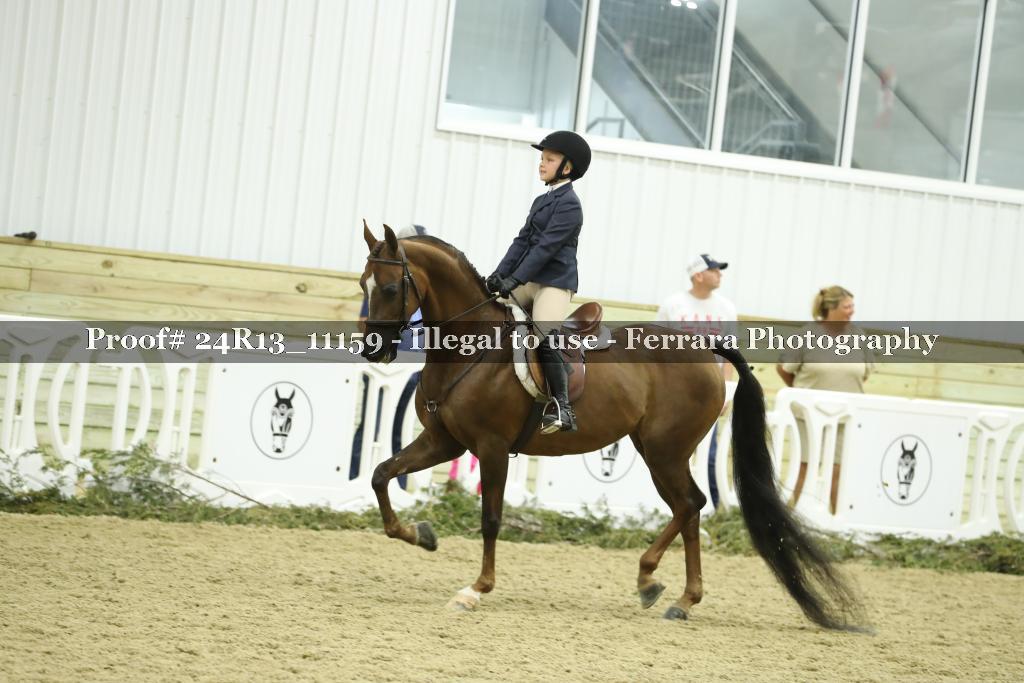 Proof 24R13_11159