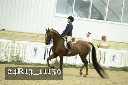 24R13_11159 proof
