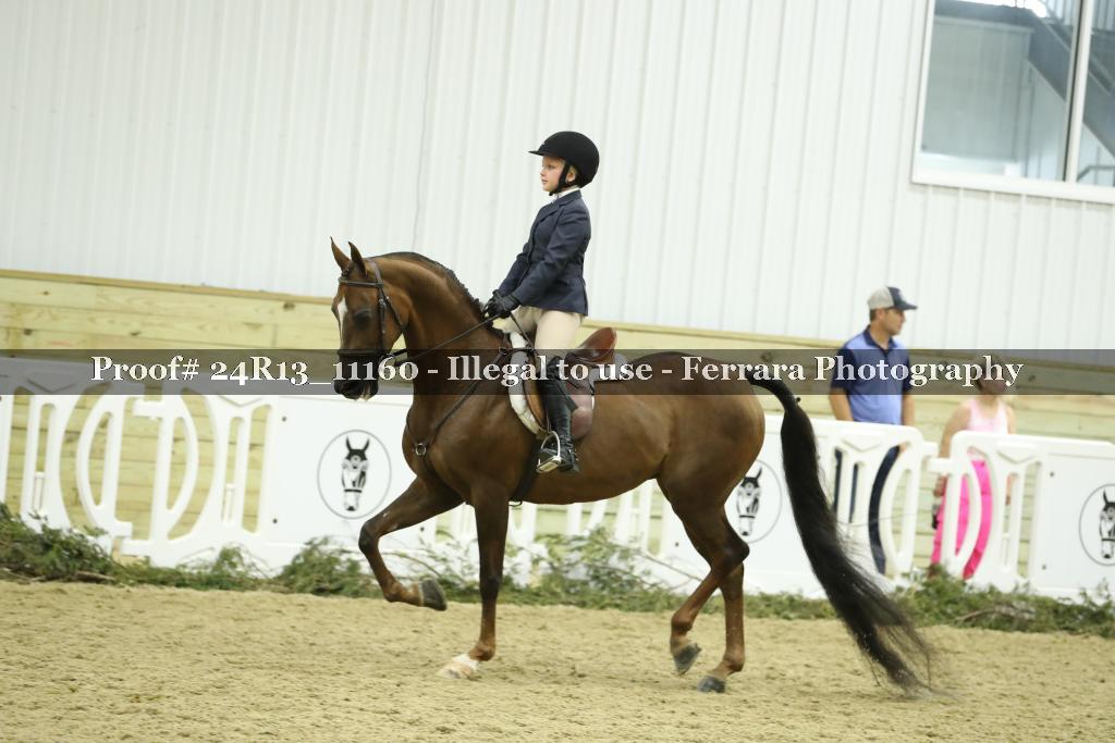 Proof 24R13_11160