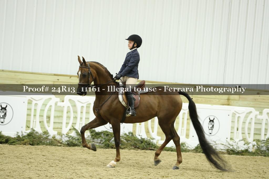 Proof 24R13_11161