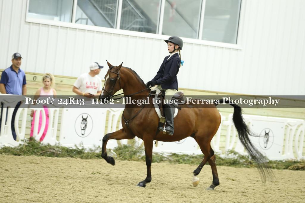 Proof 24R13_11162