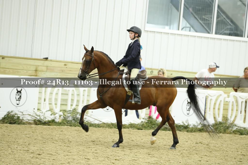 Proof 24R13_11163