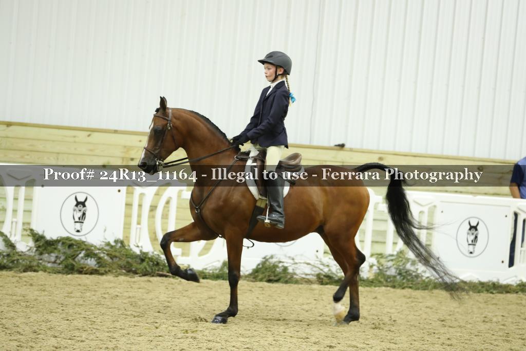 Proof 24R13_11164