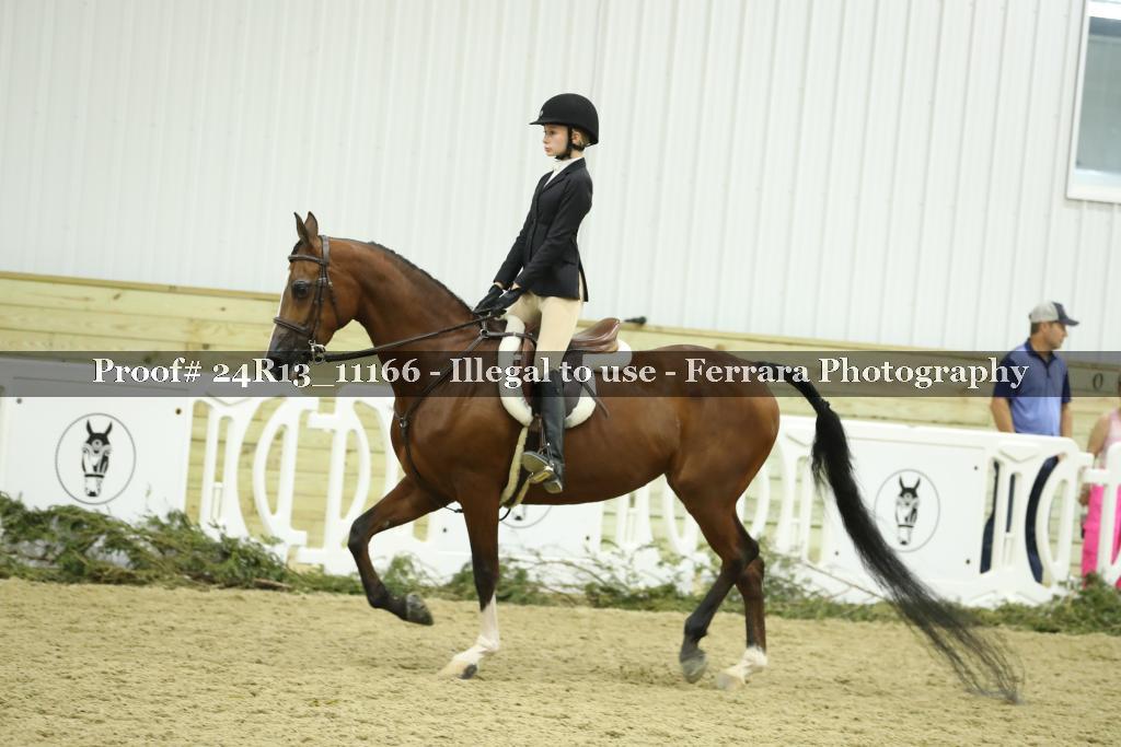 Proof 24R13_11166
