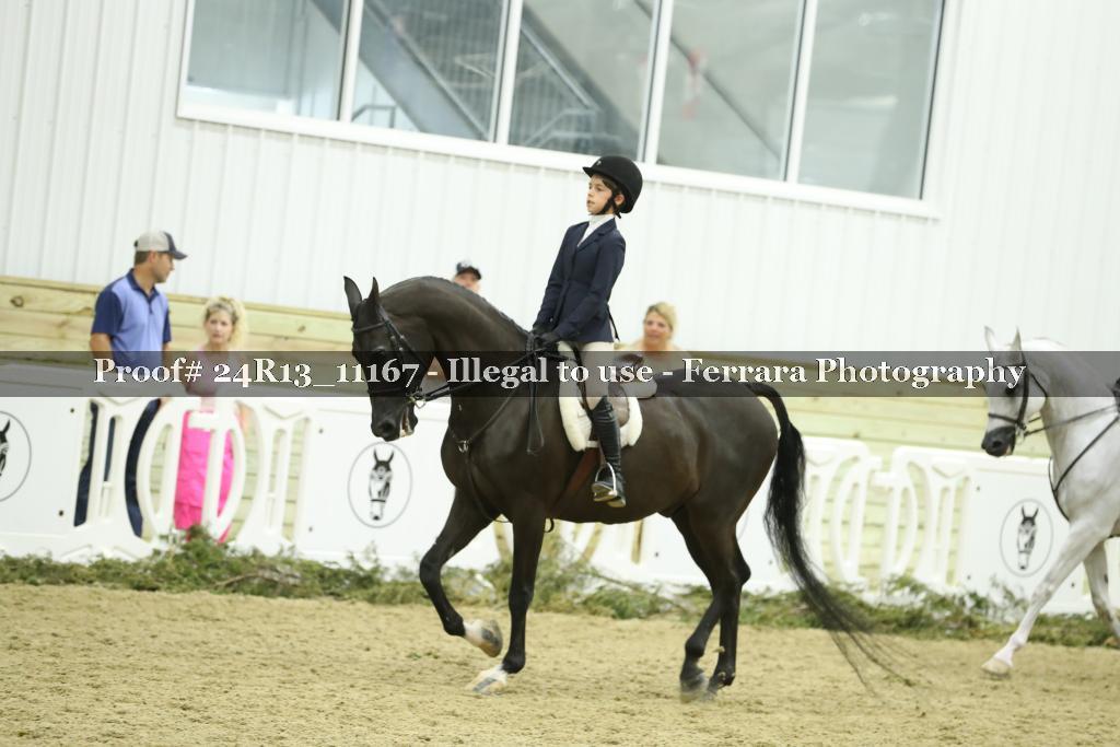 Proof 24R13_11167
