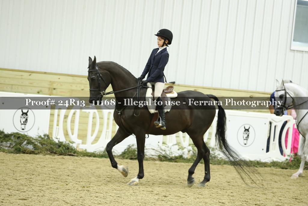 Proof 24R13_11168