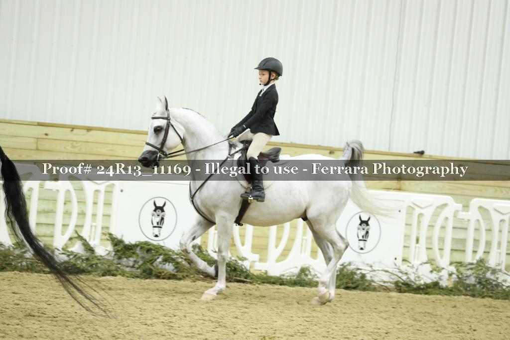 Proof 24R13_11169