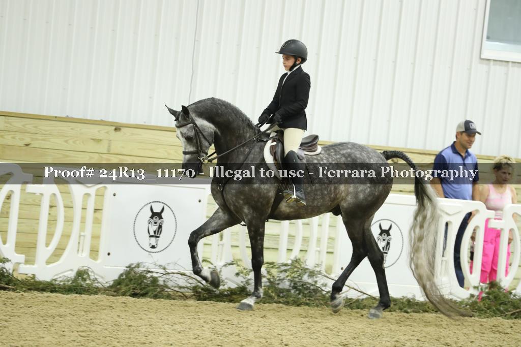 Proof 24R13_11170