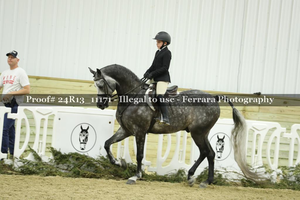 Proof 24R13_11171