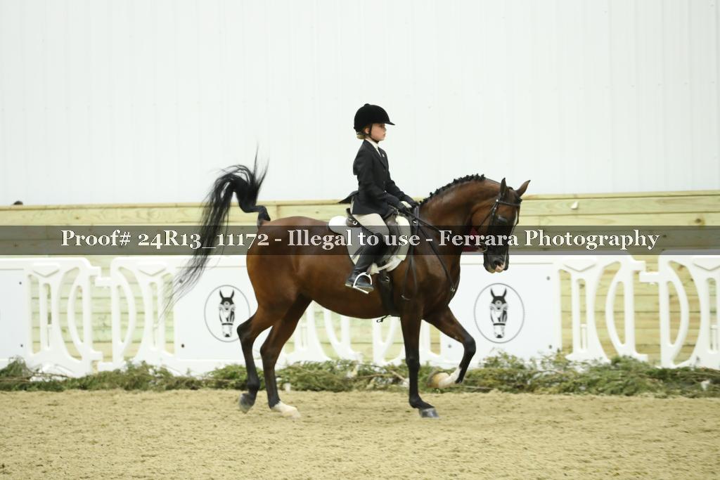 Proof 24R13_11172