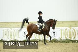 24R13_11172 proof