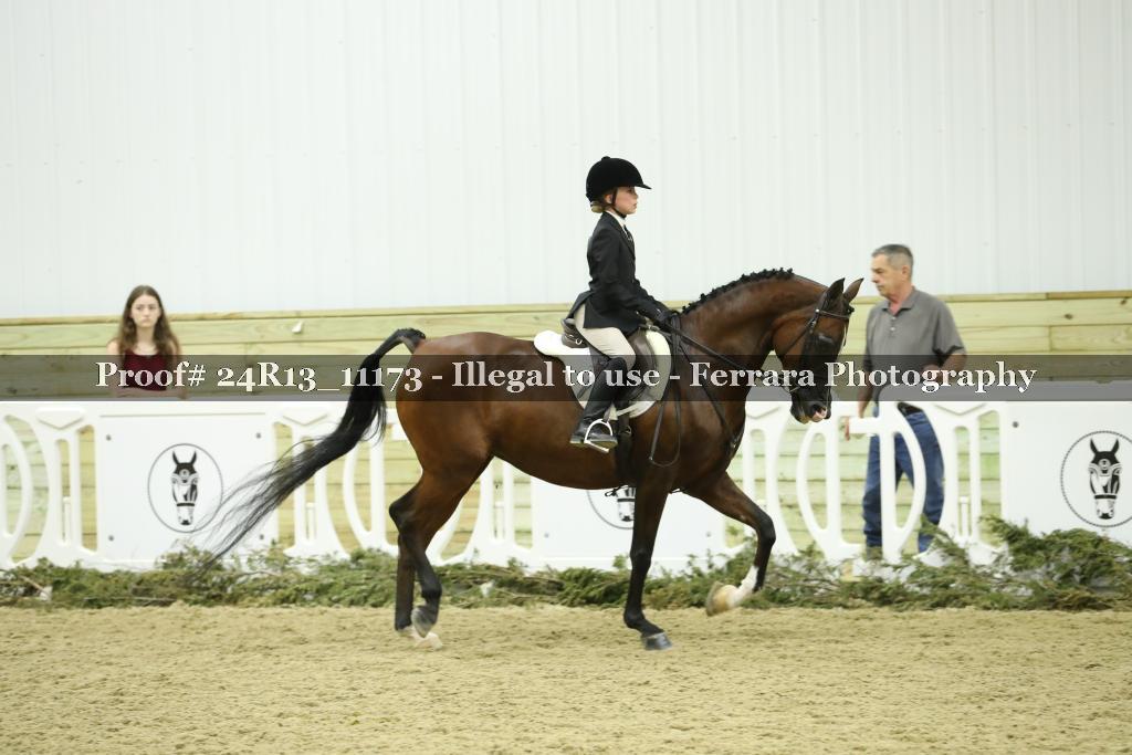 Proof 24R13_11173