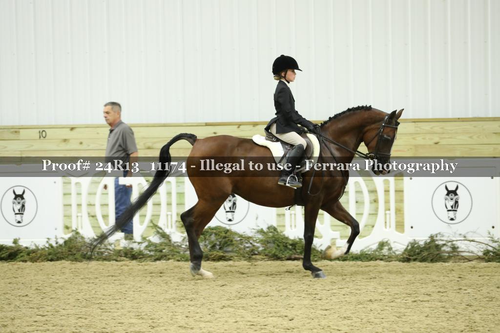 Proof 24R13_11174