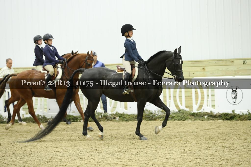 Proof 24R13_11175