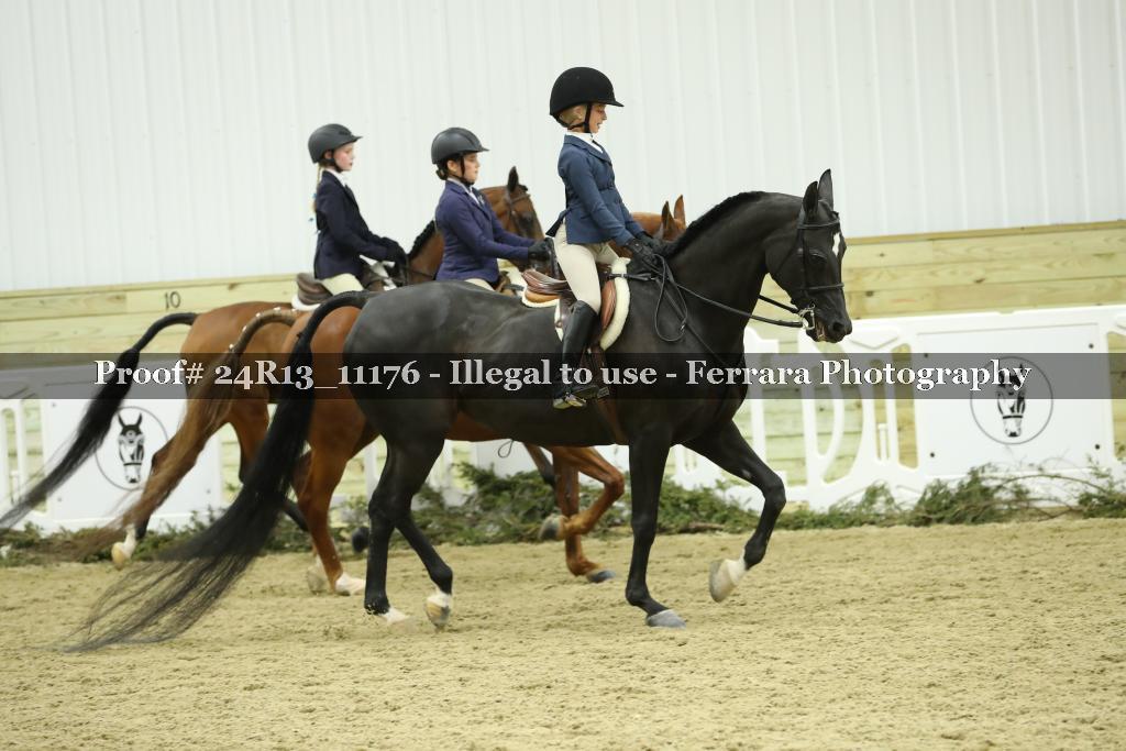 Proof 24R13_11176