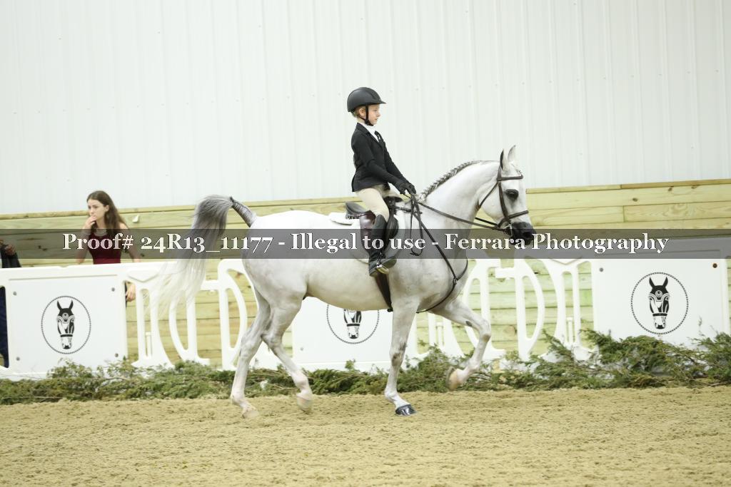 Proof 24R13_11177