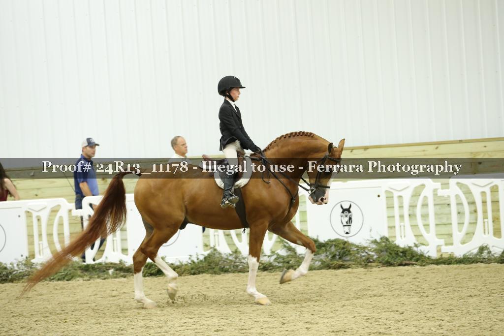 Proof 24R13_11178