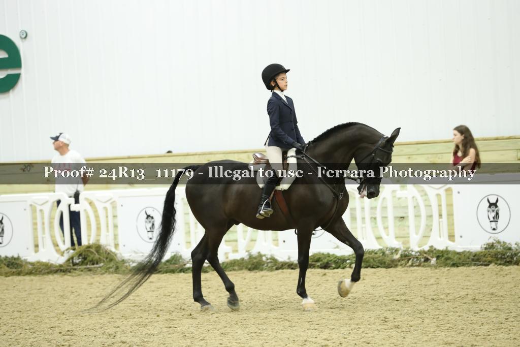 Proof 24R13_11179