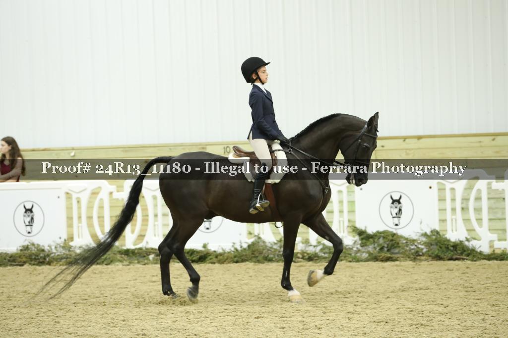 Proof 24R13_11180