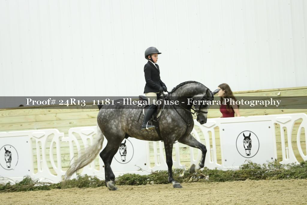 Proof 24R13_11181