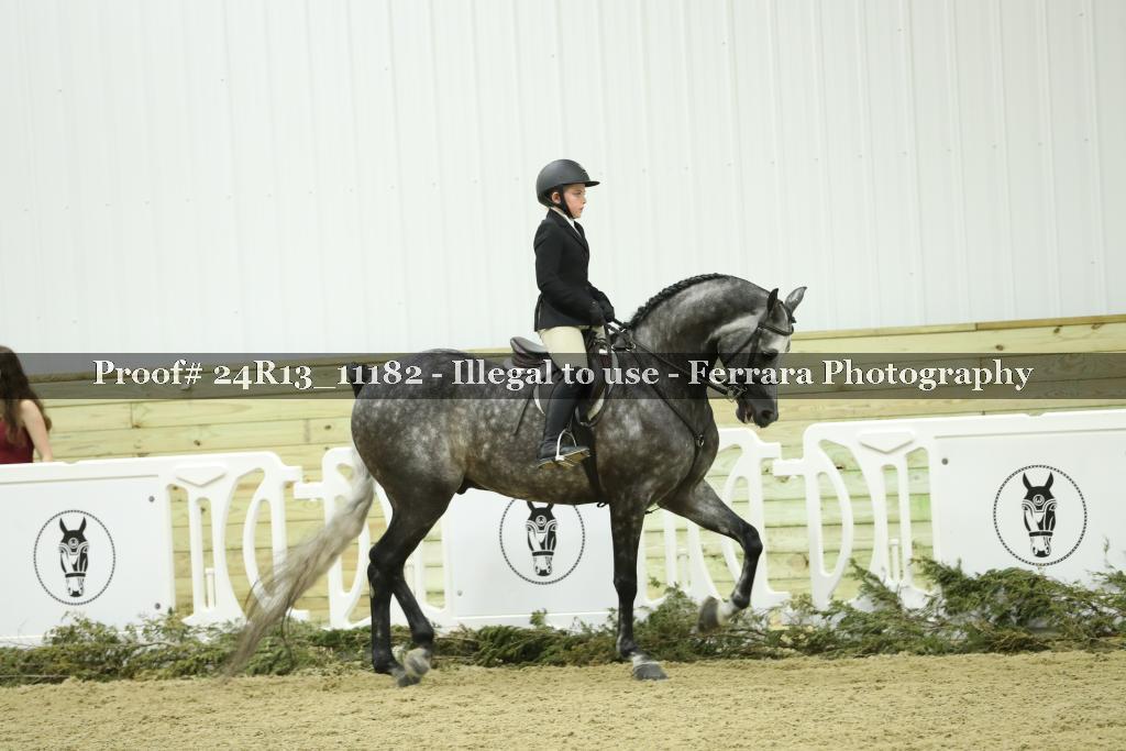 Proof 24R13_11182