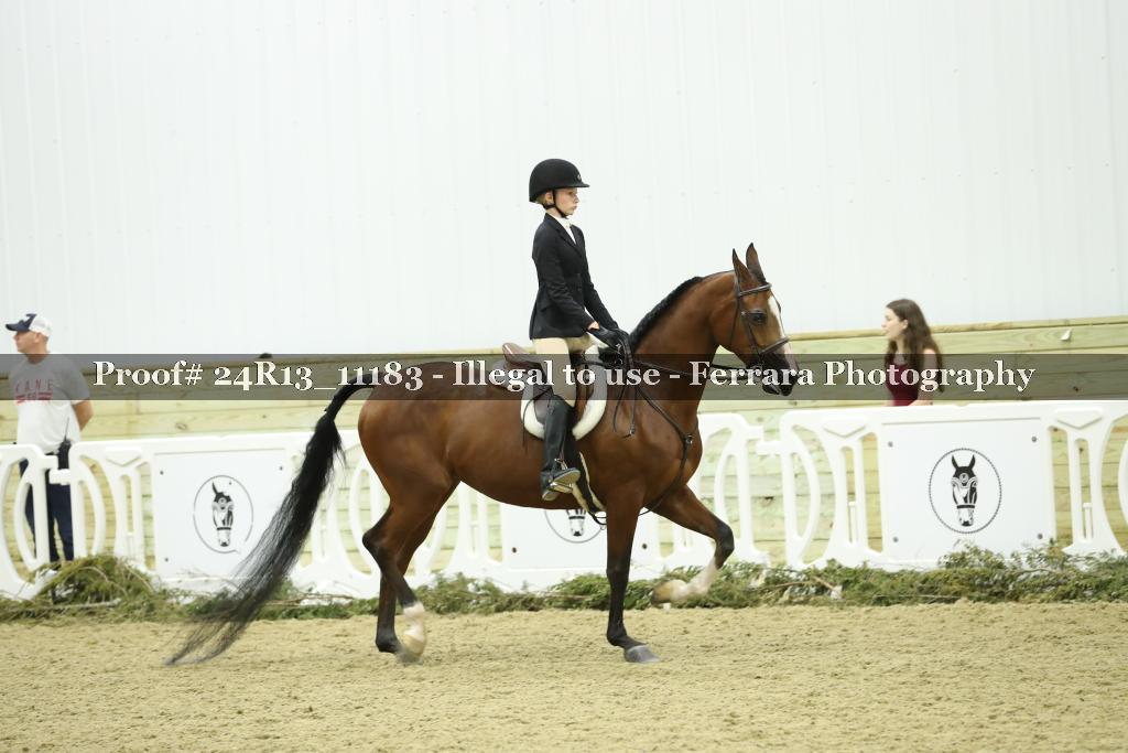 Proof 24R13_11183