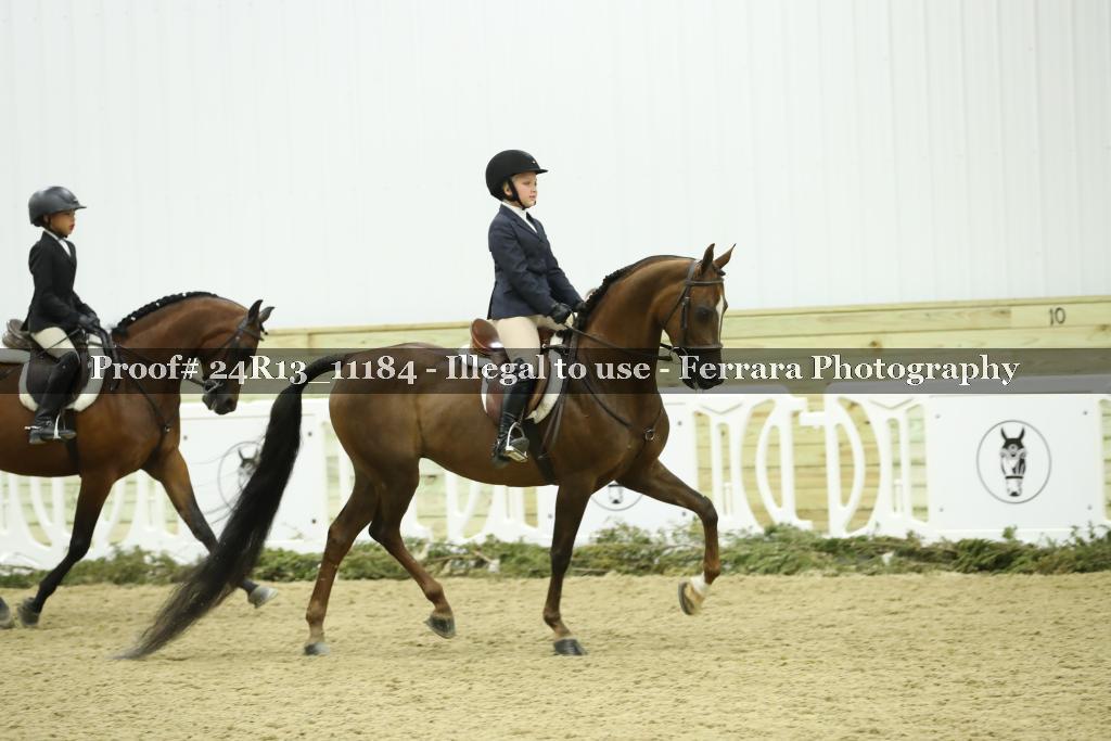 Proof 24R13_11184