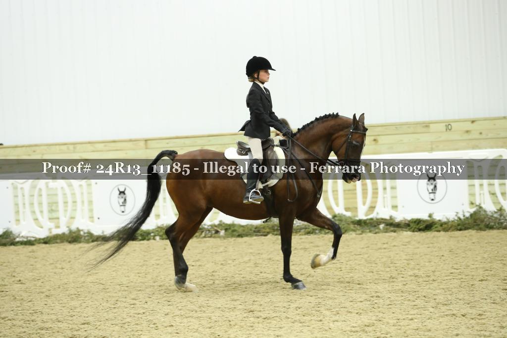 Proof 24R13_11185