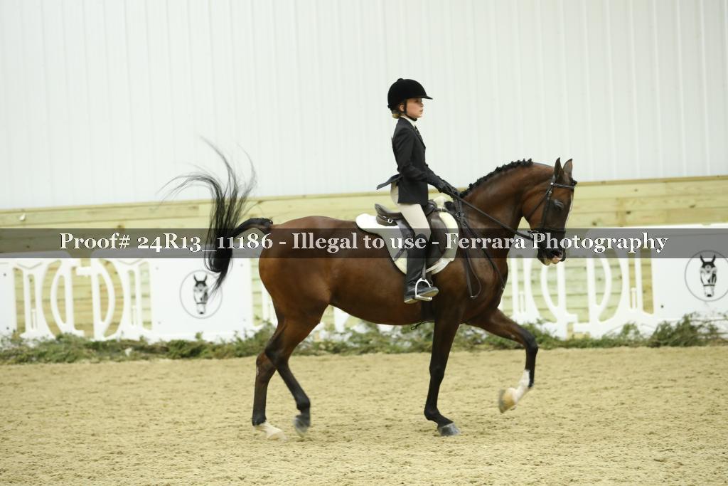 Proof 24R13_11186