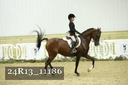24R13_11186 proof