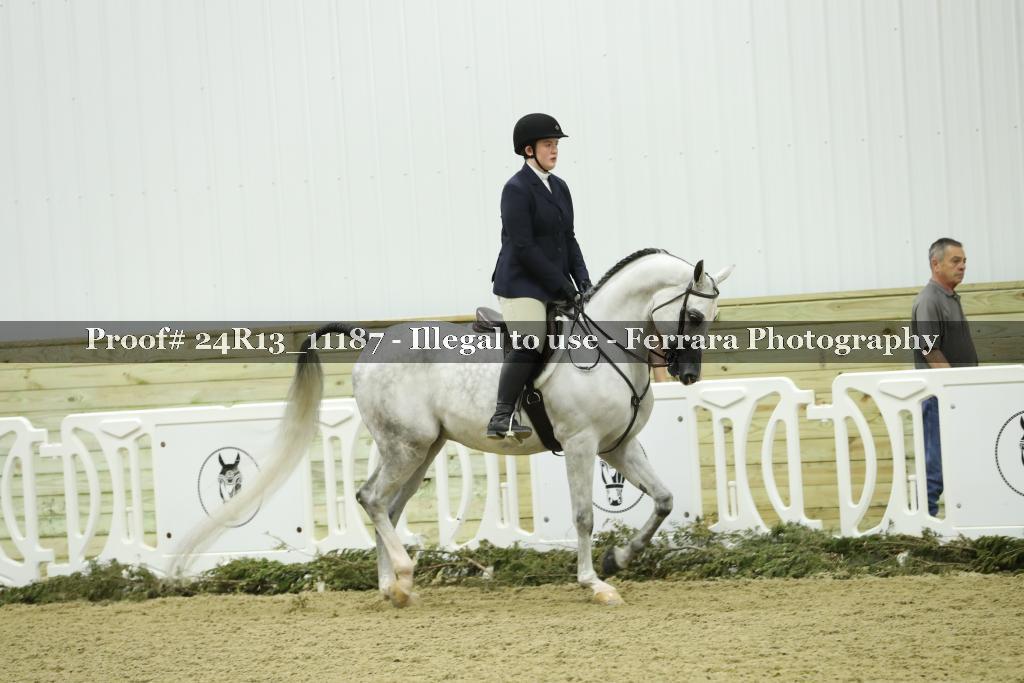 Proof 24R13_11187