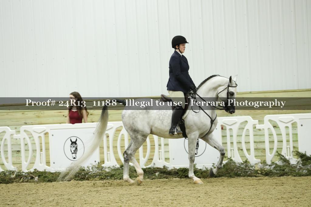 Proof 24R13_11188