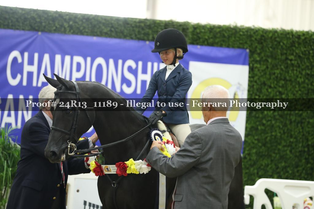 Proof 24R13_11189