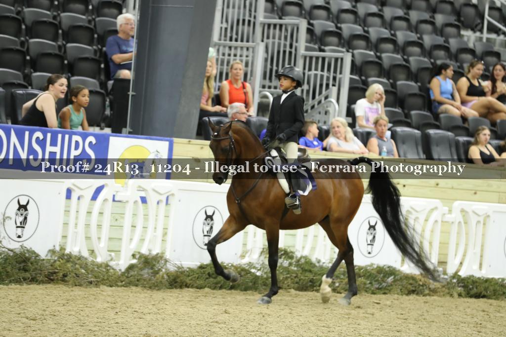 Proof 24R13_11204