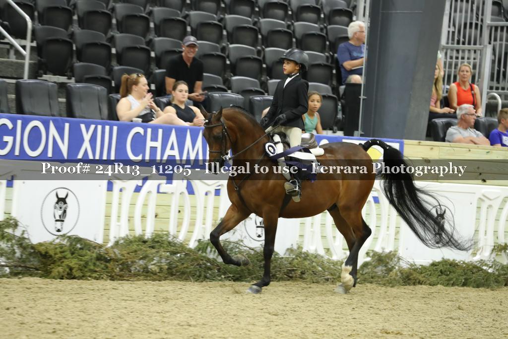 Proof 24R13_11205