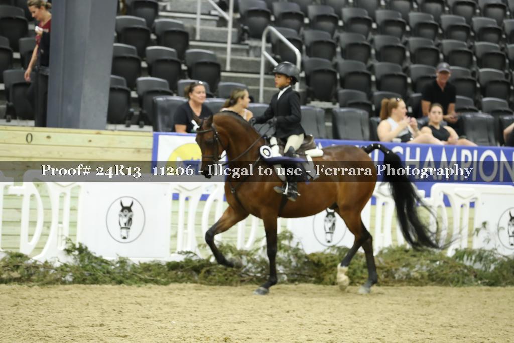 Proof 24R13_11206