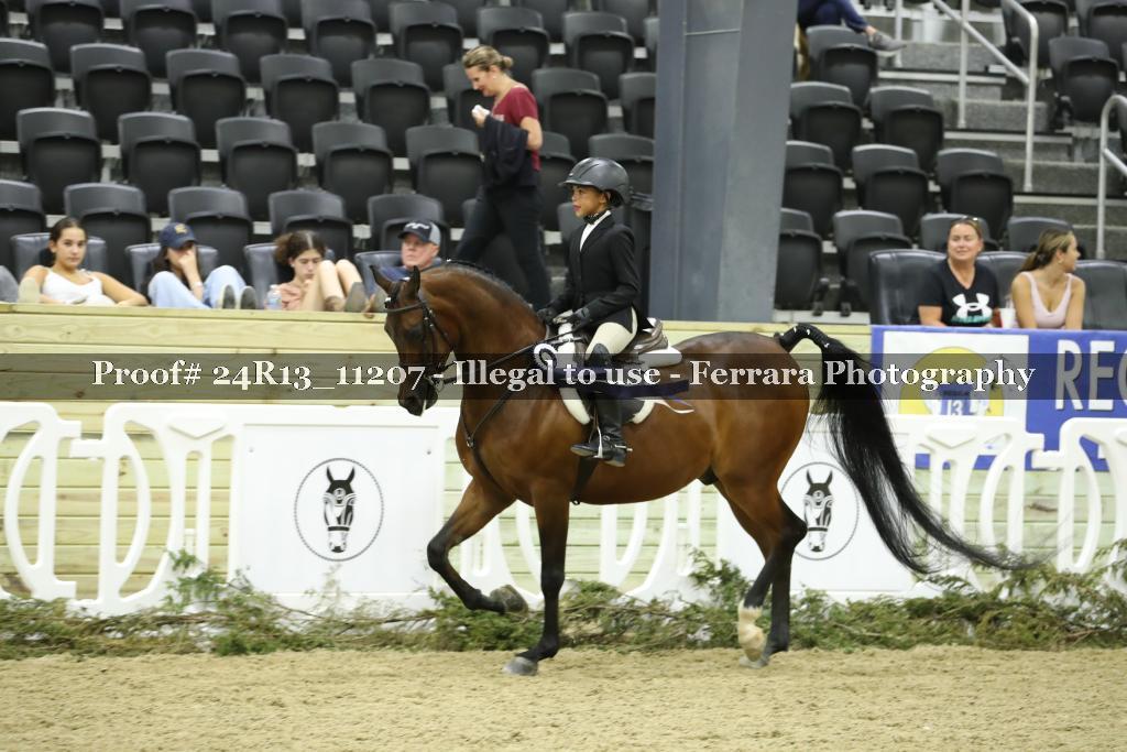 Proof 24R13_11207