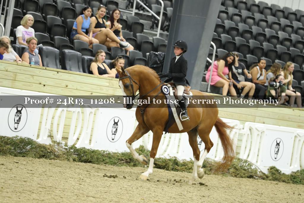 Proof 24R13_11208