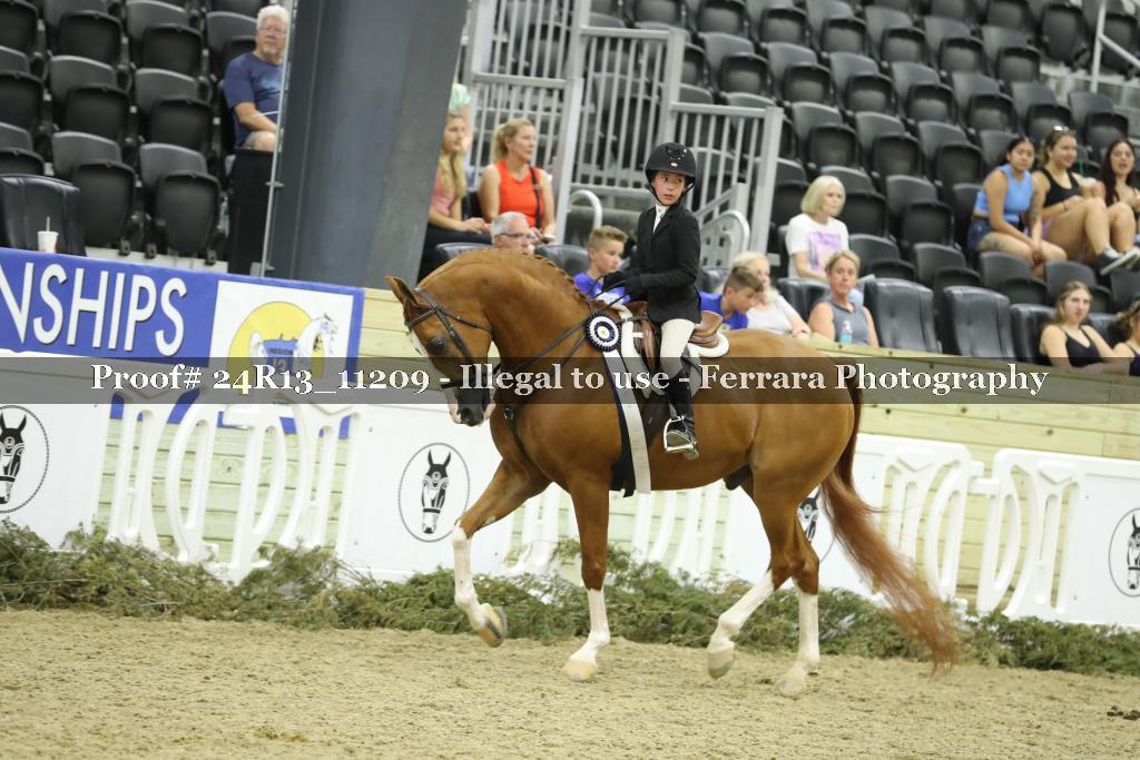 Proof 24R13_11209