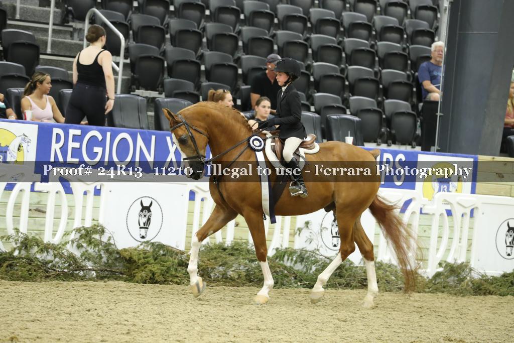 Proof 24R13_11210