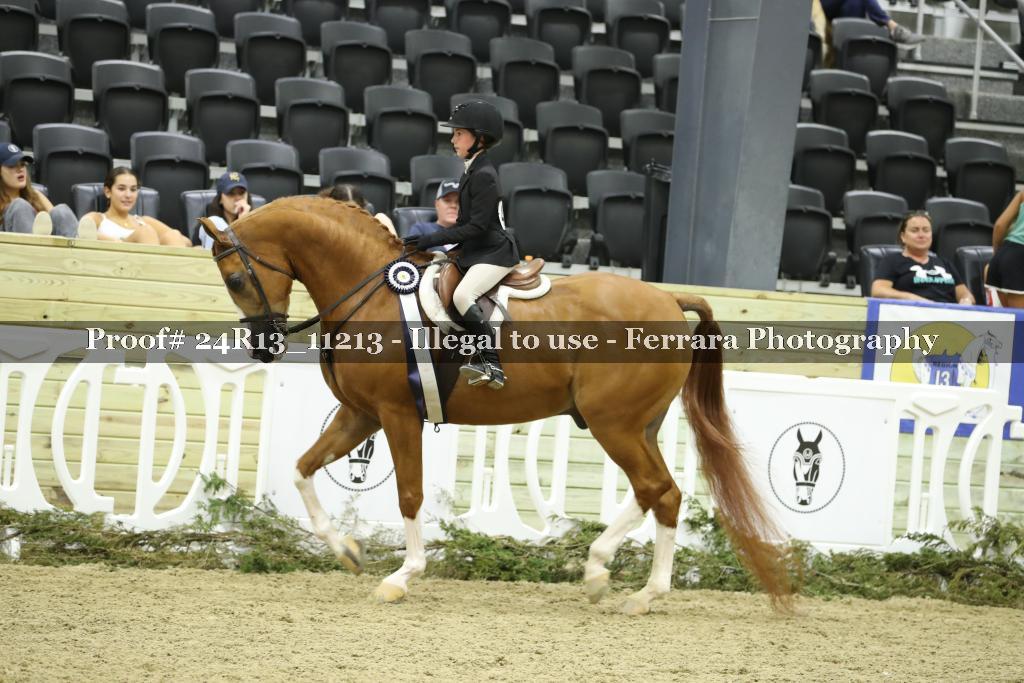 Proof 24R13_11213