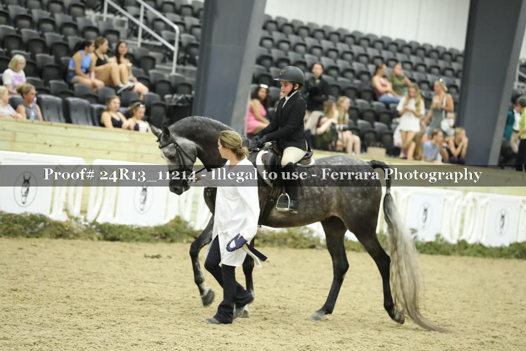 Proof 24R13_11214