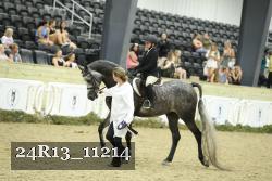 24R13_11214 proof