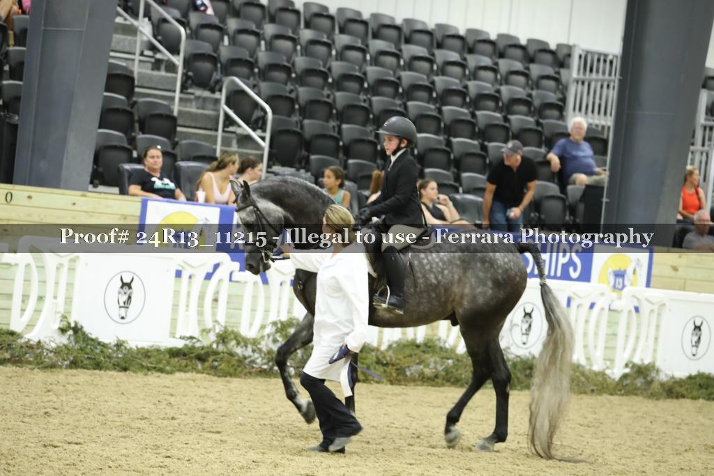 Proof 24R13_11215