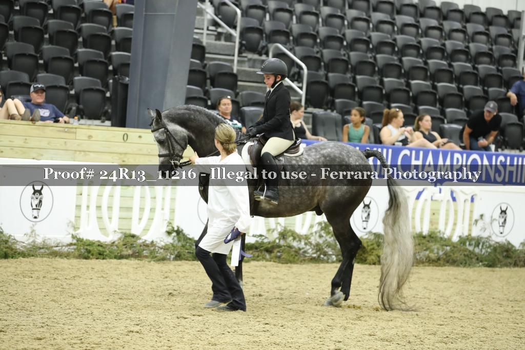 Proof 24R13_11216