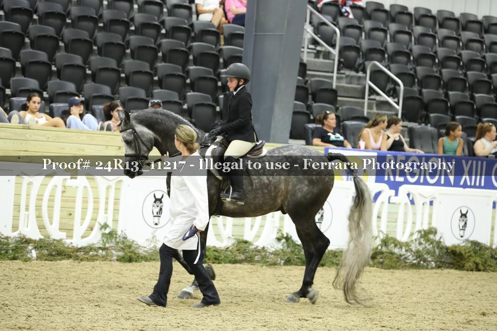 Proof 24R13_11217